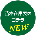 LinkIcon
