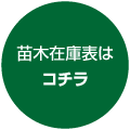 LinkIcon